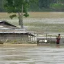 Lũ lụt ảnh hưởng đến hơn 600.000 người ở bang Assam (Ấn Độ), số người thiệt mạng tăng lên 18
