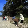 Huyện đảo Cô Tô nỗ lực xử lý rác thải