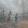 Xuyên đêm ứng trực ngăn cháy rừng tại Vườn quốc gia Tràm Chim
