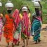 Ấn Độ chi trả tiền bảo hiểm do nắng nóng
