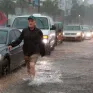 Mưa lớn gây lũ lụt nghiêm trọng, chính quyền bang Florida ban bố tình trạng khẩn cấp