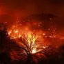 Cháy rừng nghiêm trọng ở California thiêu rụi hàng nghìn hecta đất, 1.200 người buộc phải sơ tán