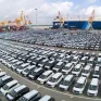 Cục Hải quan TP. Hồ Chí Minh: Thuế thu từ mặt hàng ô tô nguyên chiếc giảm 6.000 tỷ đồng