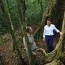 Pháp bảo tồn rừng để đổi lấy tín chỉ carbon