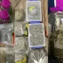 Hà Nội: Phát hiện 3 ổ nhóm mua bán ma túy, thu giữ gần 7kg cần sa