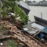 Sạt lở bờ rạch ở An Giang gây thiệt hại cho người dân