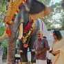 Ấn Độ dùng voi robot trong các nghi lễ