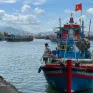 Tăng cường phối hợp kiểm soát tàu cá gỡ “thẻ vàng” cho thủy sản