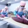 Xuất khẩu cá ngừ tăng trưởng "thần tốc"
