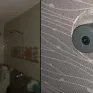 Vụ camera quay lén trong phòng tắm nữ sinh: Chủ trọ bị phạt 12,5 triệu đồng
