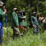 Những “nữ chiến binh” giữ rừng ở Indonesia
