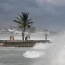Bão Beryl mạnh lên thành bão Đại Tây Dương cấp 5, đang hướng tới Jamaica