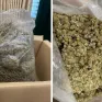 Hà Nội: Triệt phá đường dây mua bán trái phép chất ma túy, thu giữ hơn 700kg cần sa