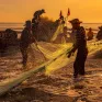 Nhộn nhịp cảnh kéo lưới rùng của ngư dân ở vùng biển Hà Tĩnh