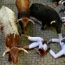 Nhiều người bị thương trong lễ hội đua bò ở Tây Ban Nha