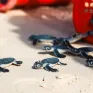 Câu chuyện bảo tồn rùa ở Vườn Quốc gia Côn Đảo