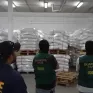 Cảnh sát Tây Ban Nha thu giữ 4 tấn ma túy giấu trong các bao gạo