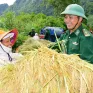 Bộ đội biên phòng gặt lúa chạy lũ cho đồng bào biên giới