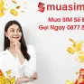 Bỏ túi ngay kinh nghiệm mua sim số đẹp online uy tín