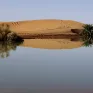 Lũ lụt hiếm thấy ở sa mạc Sahara