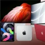 Dự báo Apple đạt tăng trưởng doanh thu lớn nhất trong 2 năm