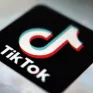 CEO TikTok tìm kiếm trợ giúp từ Elon Musk