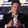 Elon Musk muốn giải thể cơ quan bảo vệ tài chính người tiêu dùng