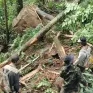 Quảng Nam: Chủ động ứng phó với động đất, bảo đảm an toàn tính mạng cho người dân