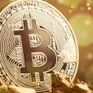 Giá Bitcoin rơi tự do