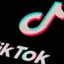 Quốc gia mới nhất "cấm cửa" TikTok