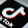 Nga phạt TikTok gần 30.000 USD vì không gỡ nội dung vi phạm