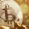 Bitcoin có thể bật tăng trong tháng 1/2025 sau cú trượt cuối năm