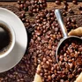 Quốc gia khai sinh ra cà phê Arabica "hốt bạc"