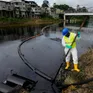 Ecuador ban bố tình trạng khẩn cấp do tràn dầu