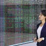 VN-Index đảo chiều giảm điểm