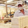 Ngành gỗ đề xuất giải pháp cân bằng thương mại Việt Nam - Hoa Kỳ