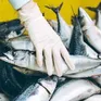 EU sẽ kiểm soát asen vô cơ trong nhiều loại thủy sản nhập khẩu