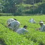 Bộ Công an đề xuất nhiều quy định mới về chế độ quản lý giam giữ