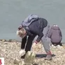 Bất kì ai cũng có thể trở thành thợ săn tìm cổ vật ở sông Thames