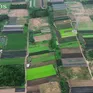 Cận cảnh Khu công nghệ cao sinh học 199 ha tại Bắc Từ Liêm sắp triển khai