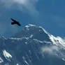 Nepal siết chặt điều kiện cấp phép leo núi Everest