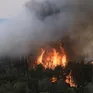 Israel đối mặt cháy rừng quy mô lớn nghi do 'khủng bố'