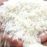 Gạo Việt đắt hàng