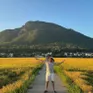 Đến Phú Yên mùa lúa chín để check-in cánh đồng lúa lớn nhất vùng Nam Trung Bộ