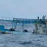 Tàu chở 10 ngư dân bị tông chìm trên biển Côn đảo