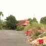Cần Thơ: Nhiều khu đất công bị bỏ hoang