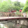Lo ngại từ những cây cầu tạm, cầu dân sinh xuống cấp tại Hà Nội
