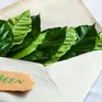 Định nghĩa lại “rác” để tái chế thành giấy