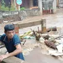 Cảnh báo lũ quét, sạt lở đất, sụt lún đất tại Đắk Lắk