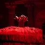 Concert miễn phí của Lady Gaga thu hút 2,5 triệu người, phá kỷ lục của Madonna